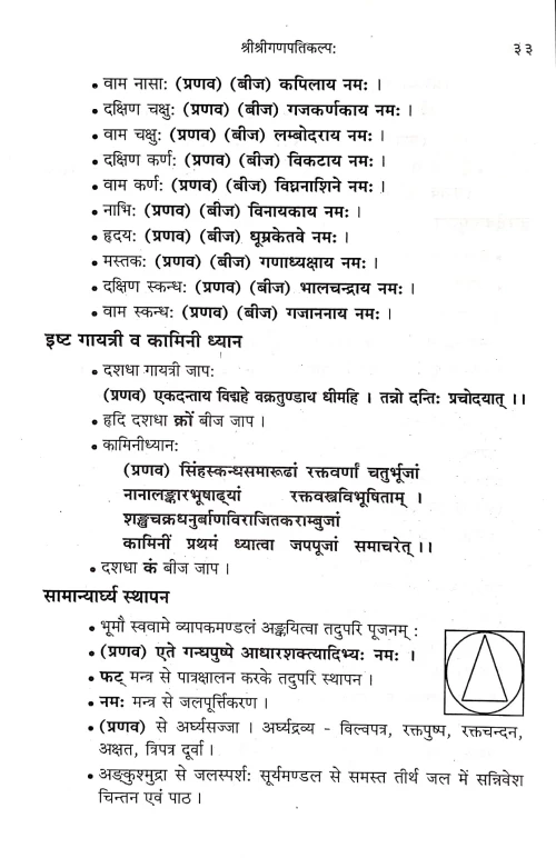 Shri Shriganapatikalpa (NSG 24)